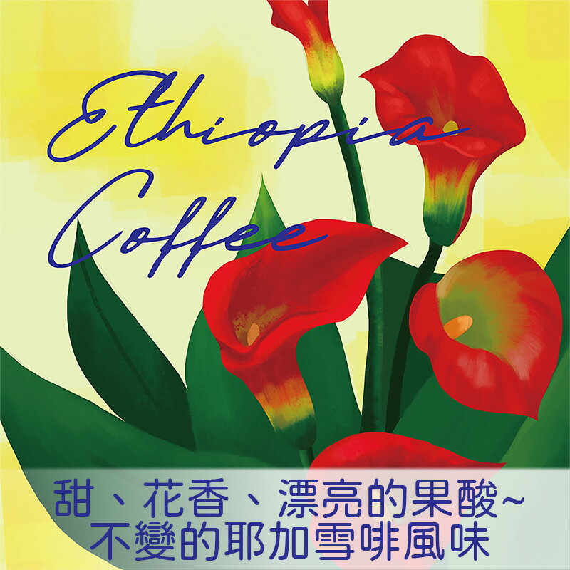 衣索匹亞  蓋德奧 耶加雪菲  科契爾鎮【Nikkoffee日光咖啡】