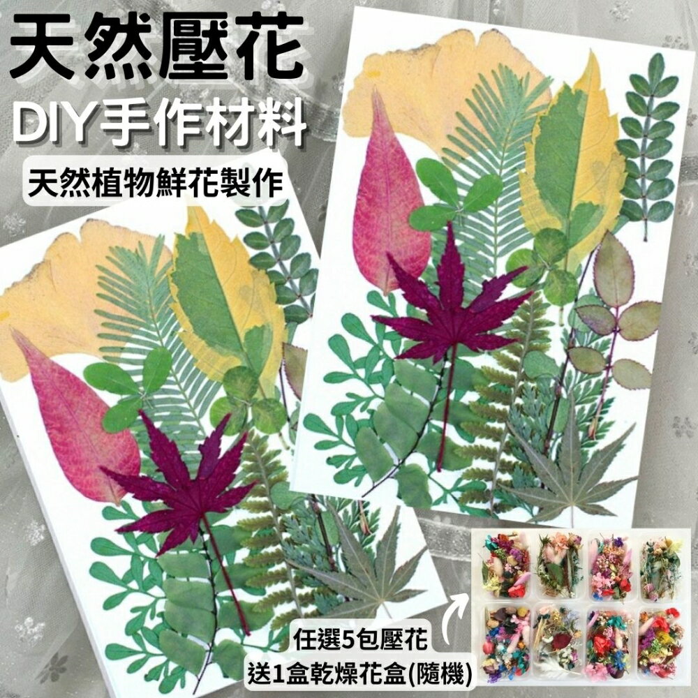 【A-ONE】乾燥花材料盒 永生花材料 DIY花材 乾燥花 永生花 不凋花 香薰蠟燭材料 浮油花 裝飾花 壓花