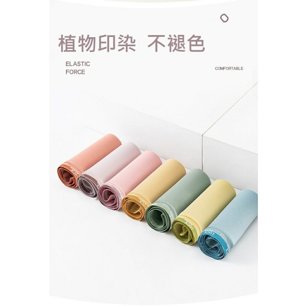 ✨台灣現貨📦 四季全棉內褲 薄款內褲 莫代爾內褲 60支 無痕內褲 涼感內褲 中腰內褲 女性內褲 丹丹悅生活 3