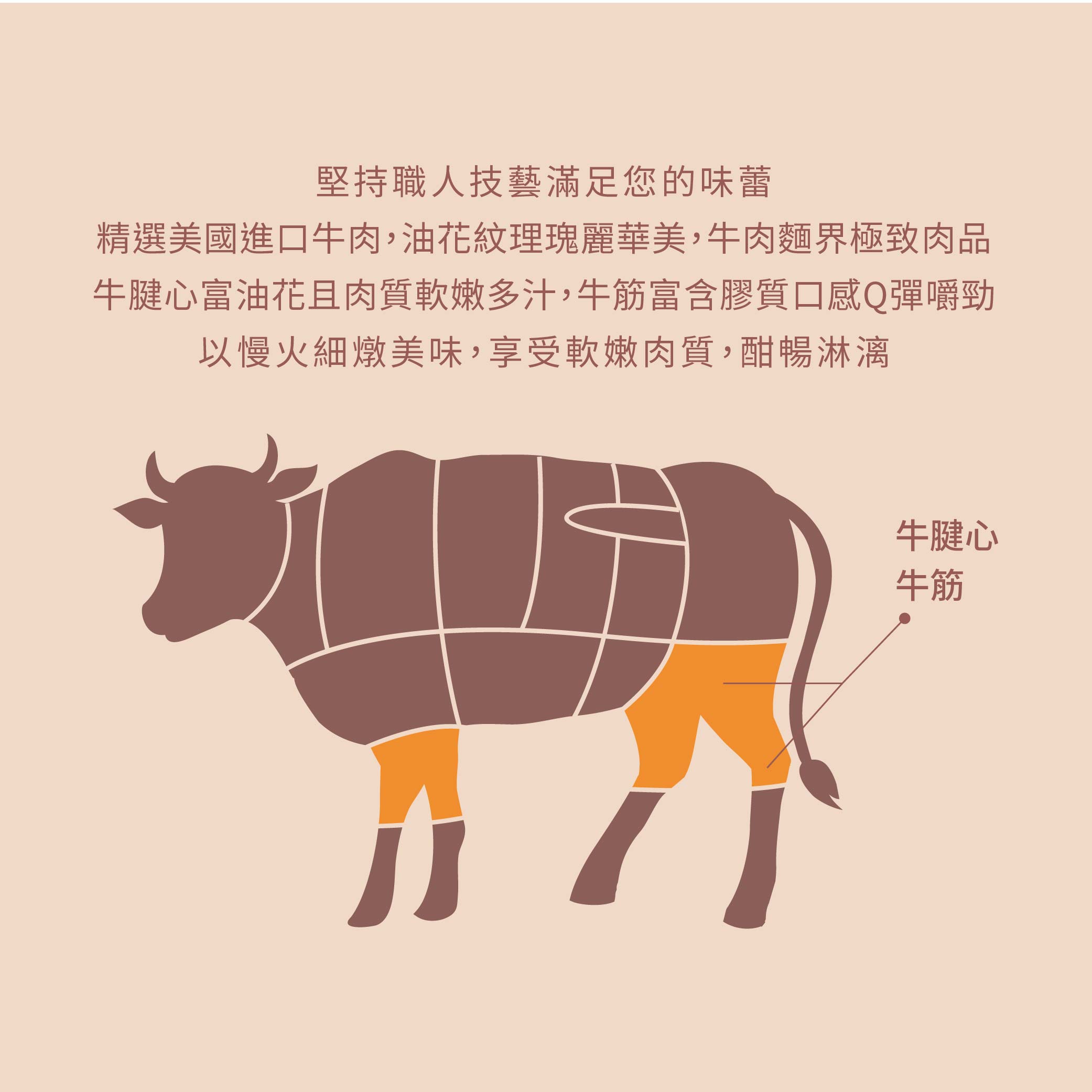 【冊子】紅燒半筋半肉牛肉麵｜料理包 單人份 獨立包裝 宅配美食 加熱即食 小資 獨享 冷凍  露營 野炊 現貨 5