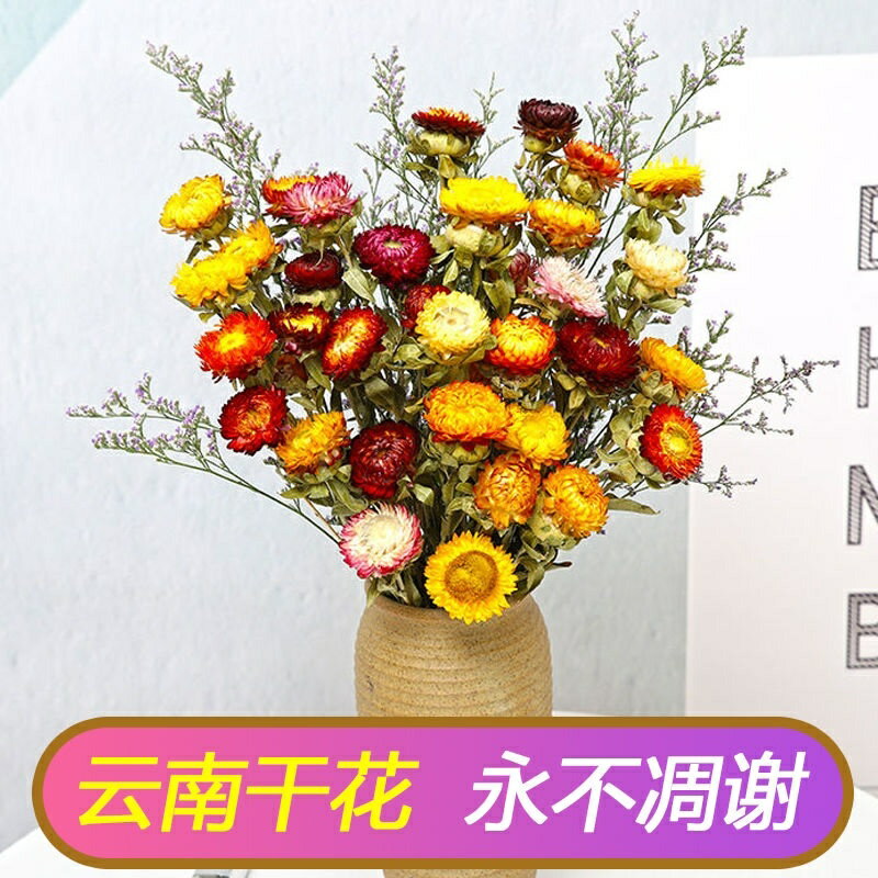 干花擺件輕奢高檔適合客廳放的菊花擺件高級餐桌花擺花高端小雛菊