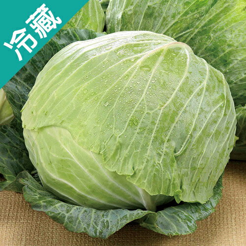 高山高麗菜1kg±5%/粒【愛買冷藏】