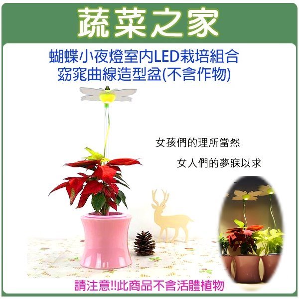 【蔬菜之家004-J11】蝴蝶小夜燈室內節能LED栽培組合-窈窕曲線造型盆(不含作物)