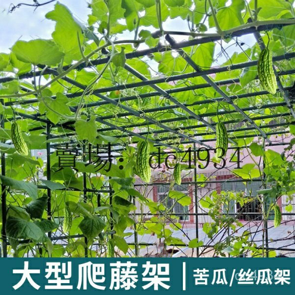 瓜架 網架 植物爬藤支架 花架 綠植花架子 苦瓜架 葡萄架子 葫蘆爬藤架 獼猴桃藤架 絲瓜百香果庭院戶外支架牽引 NTL
