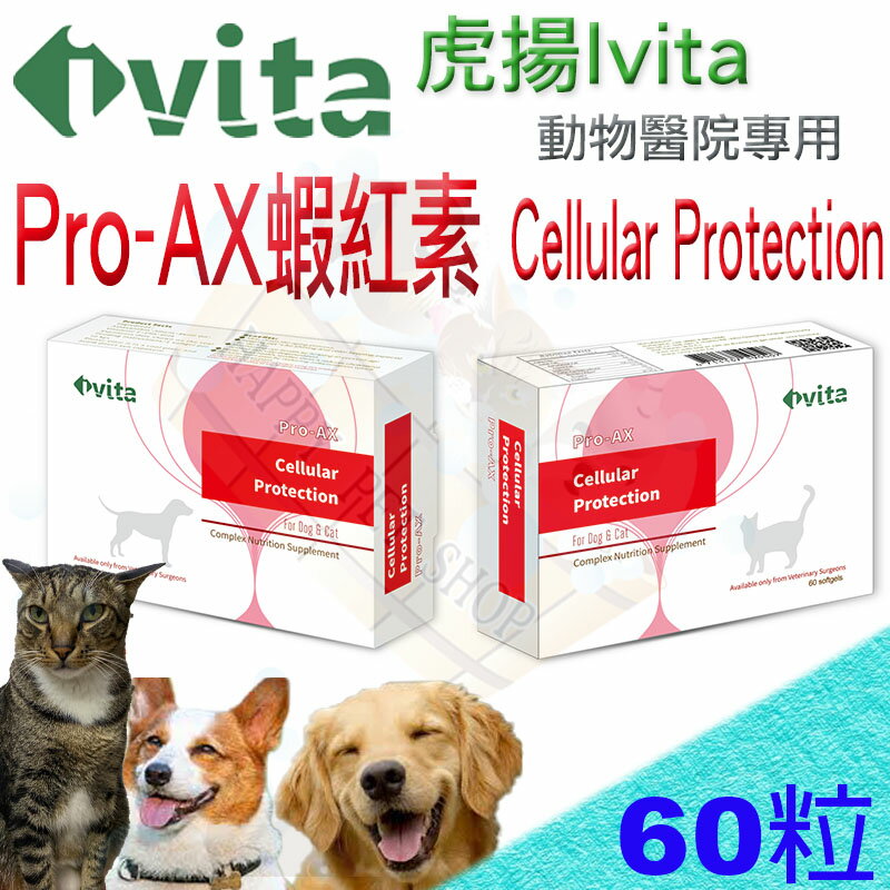 [免運]ivita Pro-AX Cellular Protection虎揚 蝦紅素 -60粒 護眼明亮 毛髮增艷 維持心血管系統正常功能