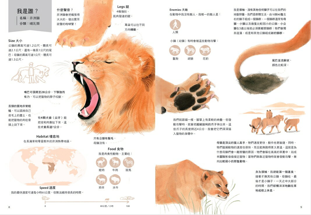 誰是動物大聲公？〔動物繪本圖鑑4〕：首批限量加贈「有聲動物小 3