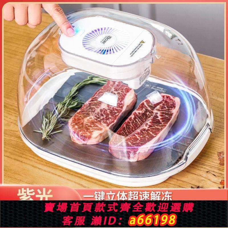【臺灣公司 可開發票】【首單立減】家用恆溫解凍器牛排海鮮凍肉保鮮負離子快速解凍神器