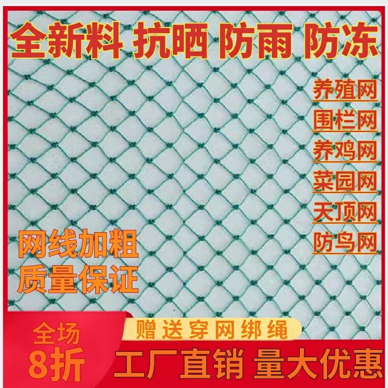 小網眼養雞網家禽養殖網菜園網天網頂網圍欄網家禽網防鳥網爬藤網