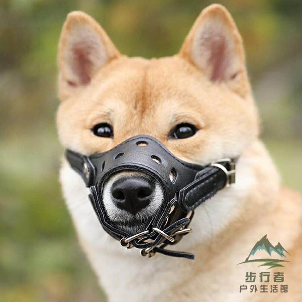 狗嘴套防咬防止狗叫狗口罩寵物小中大型犬嘴巴套