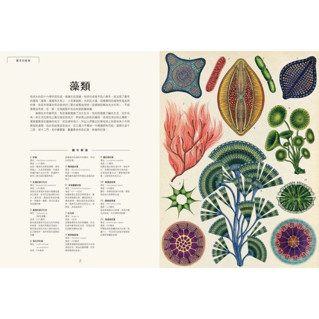 植物博物館 2