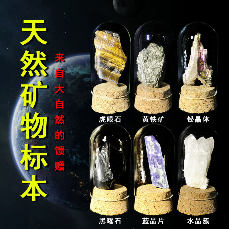 天然水晶原石礦物標本石兒童科普教學禮物標本盒擺件彩色石頭辦公
