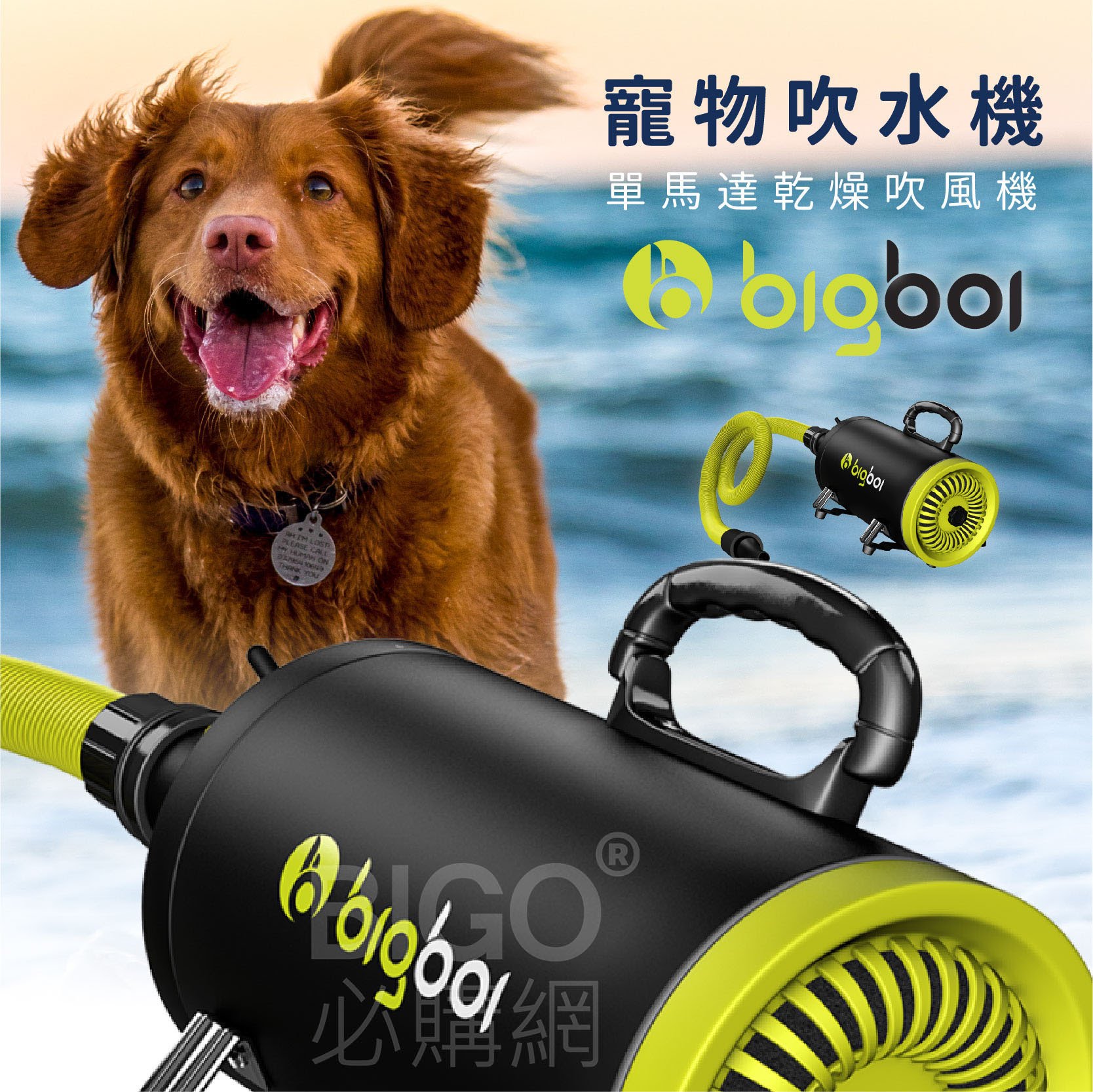 人氣熱賣NO.1【bigboi】MINI 寵物單馬達吹風機 吹水機 吹風機 乾燥 烘乾 吹毛機 洗澡 清潔 美容 貓狗必備