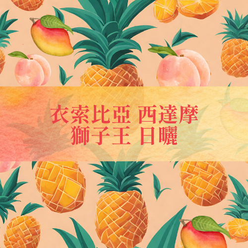 【咖啡匙 咖啡豆】衣索比亞 西達摩 獅子王 日曬 120克/包（約1/4磅）