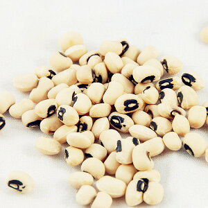 【168all】 600g【嚴選】米豆 / 白豆 White Bean