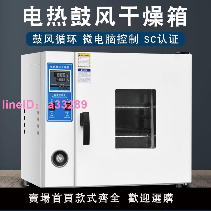 電熱恆溫鼓風乾燥箱實驗室小型烘箱食品烘乾機工業高溫烤箱烘乾箱