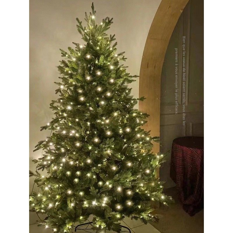 聖誕樹 2022新款圣誕樹家用ins風仿真網紅帶燈圣誕節裝飾套餐發光高級感