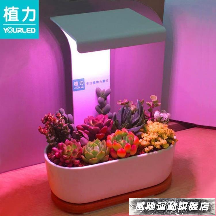 植物燈 植力【桌面植物燈】多肉補光led全光譜上色USB家用室內育苗種植機【林之舍】
