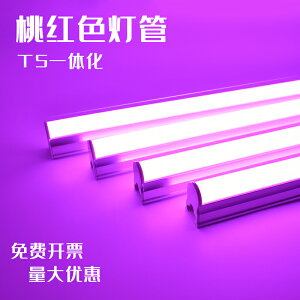 LED紫色燈管T5一體化全套紫色桃紅色酒吧ktv吊頂酒店氛圍燈管燈帶