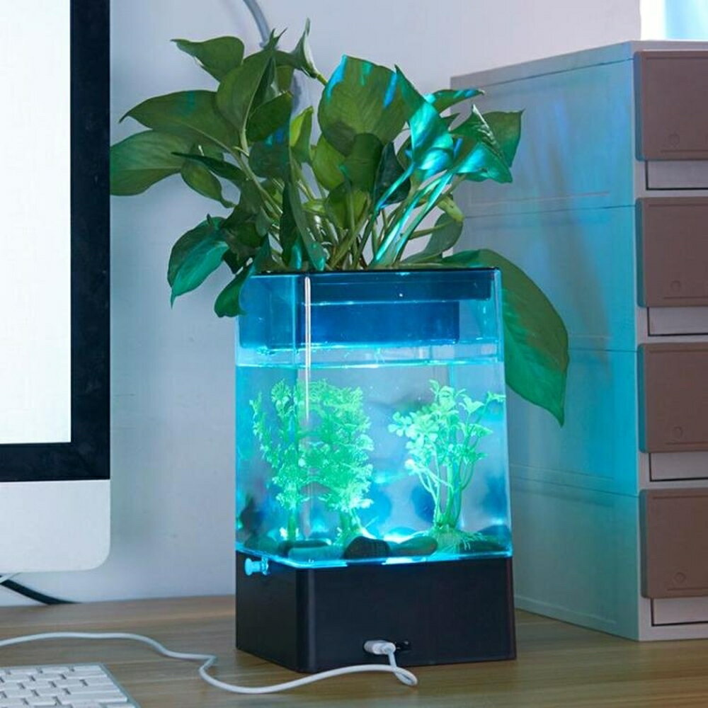 魚缸沖皇冠USB桌面迷你小魚缸 帶LED燈水族箱印象部落 3