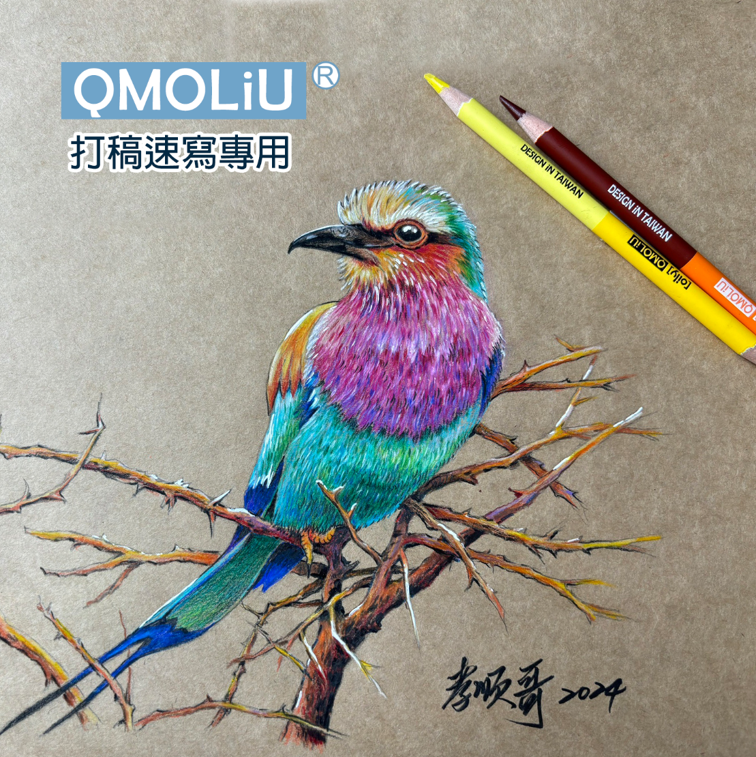 色鉛筆 可擦 CPE530【打稿速寫專用】劉興衡室內設計畫室指定套裝組 / 台灣設計 ---透視學習必備 2