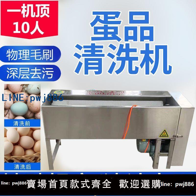 【臺灣公司 可打統編】洗蛋機蛋品清洗機小型全自動不銹鋼洗蛋機雞蛋鴨蛋鵝蛋清洗機