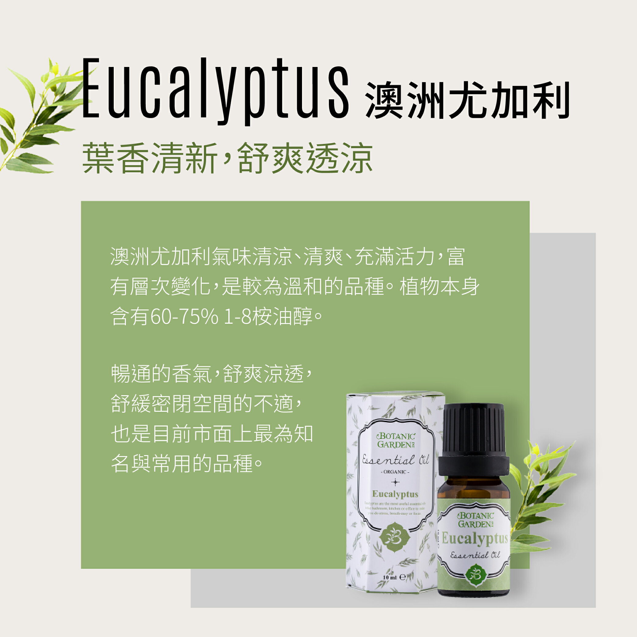 寶草園- 澳洲尤加利單方純精油10ml(有機尤加利) 2