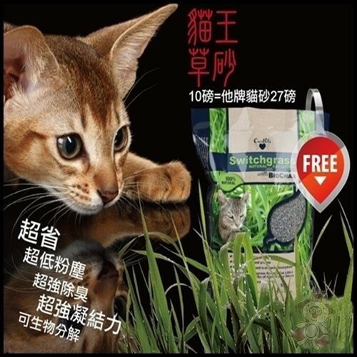 Ourpets 貓王 環保草砂貓砂-10磅(4.55kg)【二包免運】『WANG』