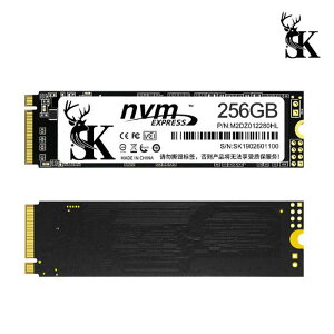 保固三年 固態硬碟 SK M.2 2280 NVMe SSD 固態硬碟-256GB【愛瘋潮】【APP下單最高22%點數回饋】