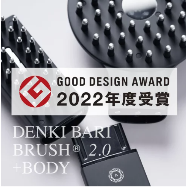日本直送！快速發貨！】ELECTRON DENKI BARI BRUSH 2.0 +BODY