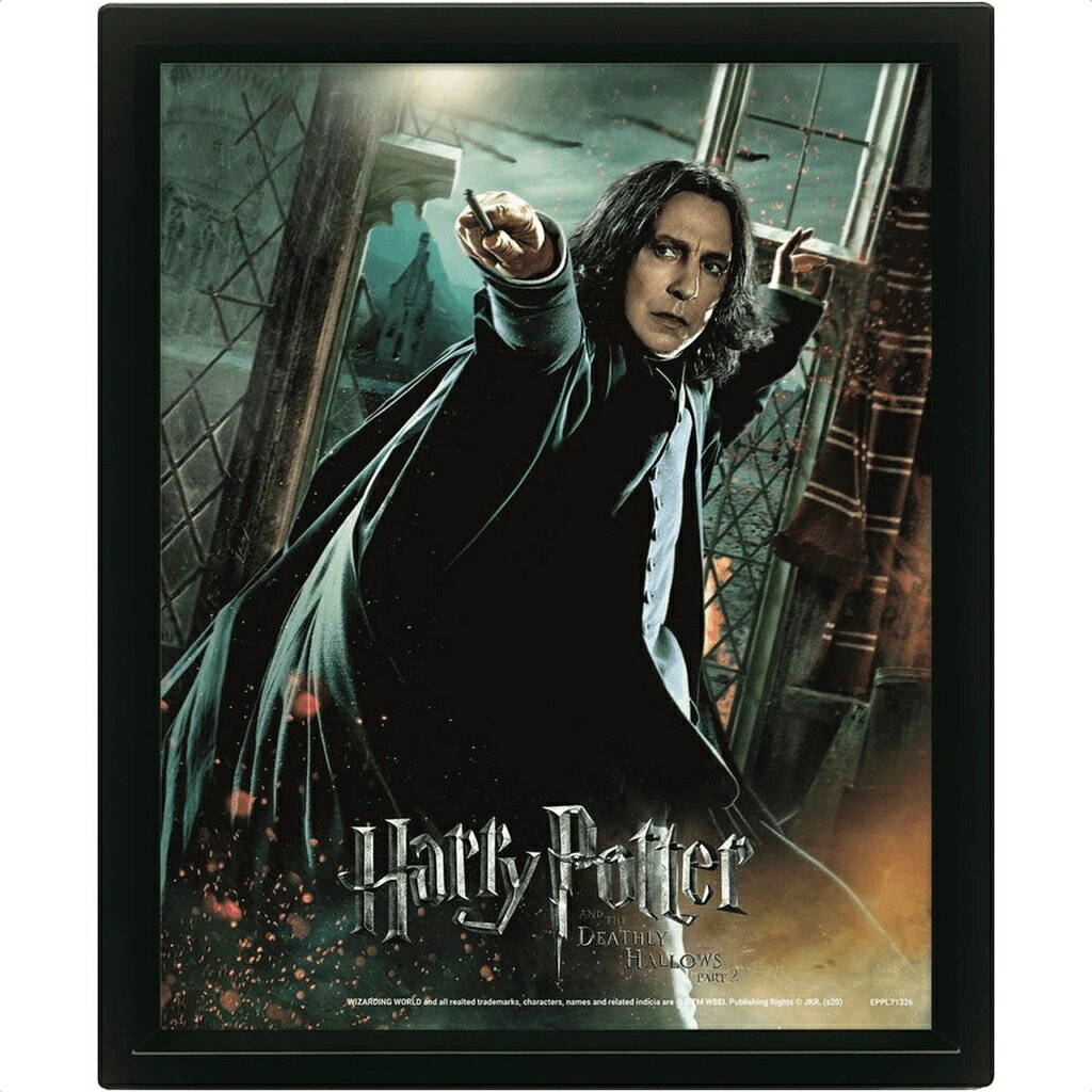 【哈利波特】石內卜3D海報(有框) Harry Potter