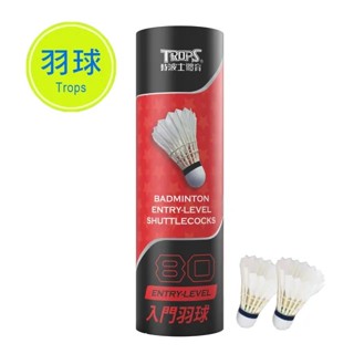 成功 SUCCESS 45080 入門羽球 1筒12入【APP滿額下單10%點數(單一帳號最高1000點)】9/30止