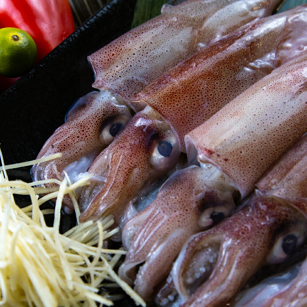 【有魚生鮮】基隆船凍大尾小卷8包 優惠組