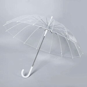16骨透明雨傘長柄大號抗風雙人白色網紅韓版雨傘女纖維加固定制傘