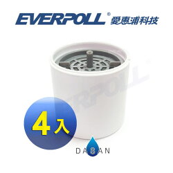 大山淨水 EVERPOLL 愛惠浦科技 UV-905-4 UV生飲隨身瓶專用濾芯 (4入裝) UV905 濾水瓶濾心 U-905-4★電子票券