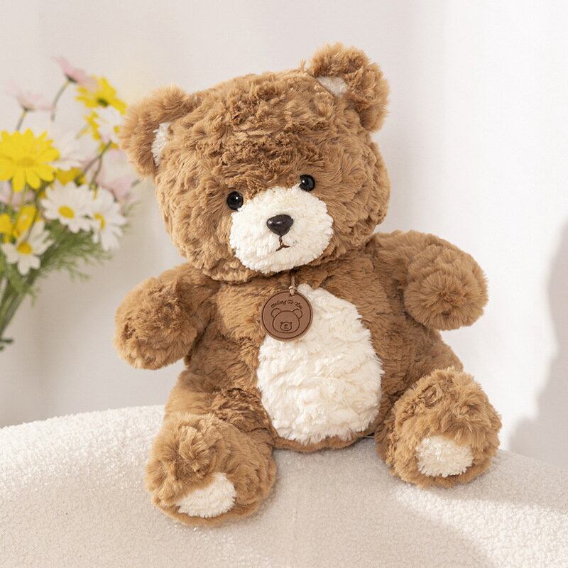 賽特嘟嘟bear毛絨玩具可愛創意小熊公仔網紅玩偶熊 女生日禮物