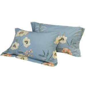 紫羅蘭全棉加厚超柔抗菌磨毛印花枕套保暖枕套枕頭套枕芯套一對裝