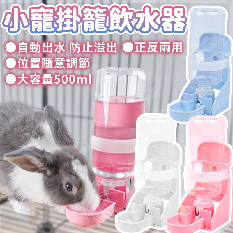 自動飲水器 掛籠飲水器 兩用飲水器 小寵水壺 兔子水壺 兔子飲水器 兔用掛籠飲水器 自動飲水器【230512】