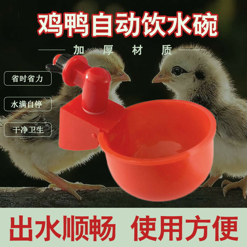 鴿子自動飲水器鵪鶉水杯鴿子水碗鸚鵡信鴿餵食器雞鴨鵝飲水碗