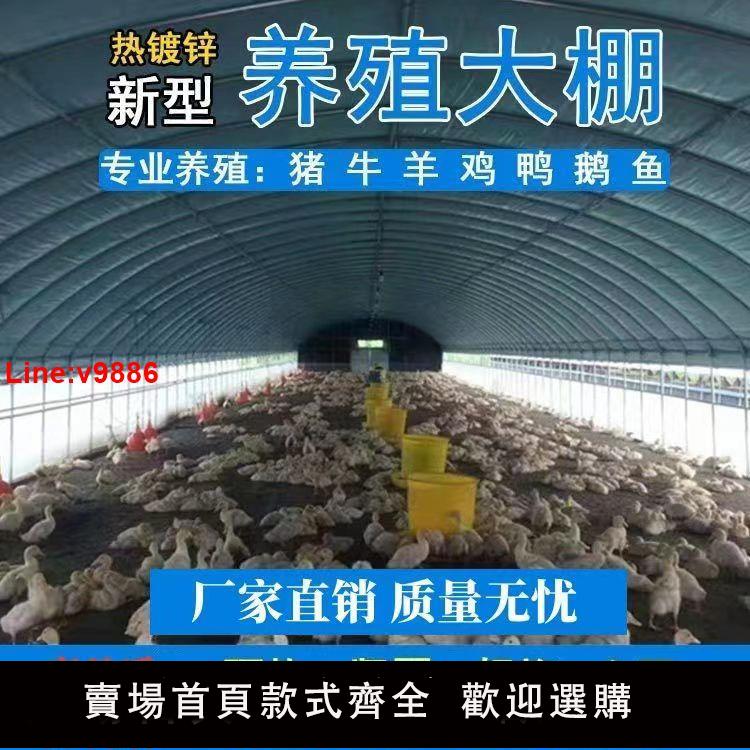 【臺灣公司 超低價】養殖大棚全套養雞大棚雞舍豬棚牛棚羊棚鴨棚鵝棚溫室蔬菜大棚全套
