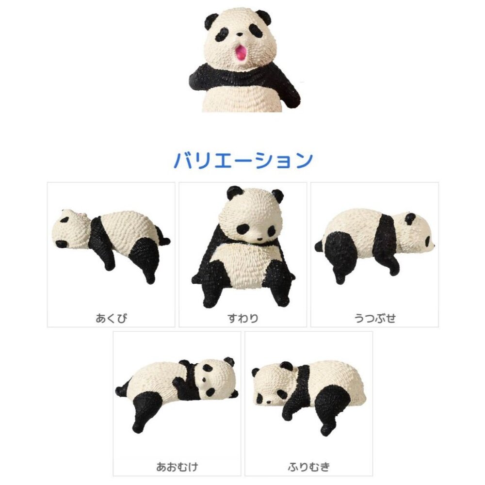 趴睡熊貓盲盒 轉蛋 扭蛋 曬動物 好天氣 曬乾 全5款 熊貓 貓熊 公仔 玩具 - 日本進口 熊貓 日本 貓熊 代購 日本代購 快速出貨 日本空運來台 轉蛋 扭蛋 曬動物 好天氣 曬乾 全5款 公仔 玩具 可愛公仔 盲盒