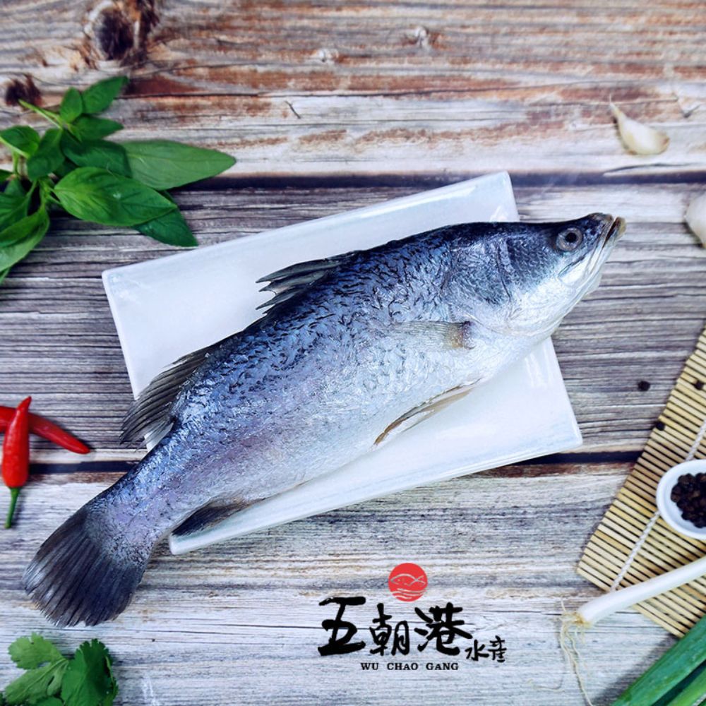【買一送一】台灣冠軍金目鱸魚 (350g±10%)海鮮 生鮮 鱸魚 無刺清肉 鱸魚片 熱銷 快速到貨
