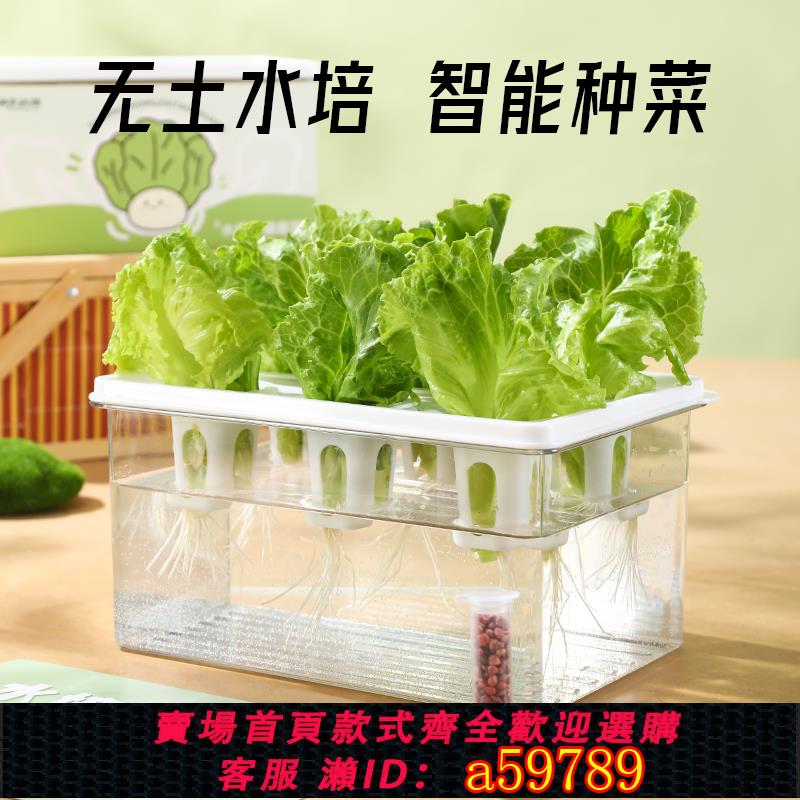 【臺灣公司 可打統編】智慧水培器皿家庭蔬菜種植盒無土栽培裝置生菜香彩器皿定植籃花盆