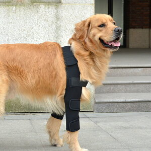寵物護膝 後腿護膝 狗護膝 寵物狗護膝狗狗護肘衣關節保護套中型大型犬防臟前腿套輔助走路用『wl10705』
