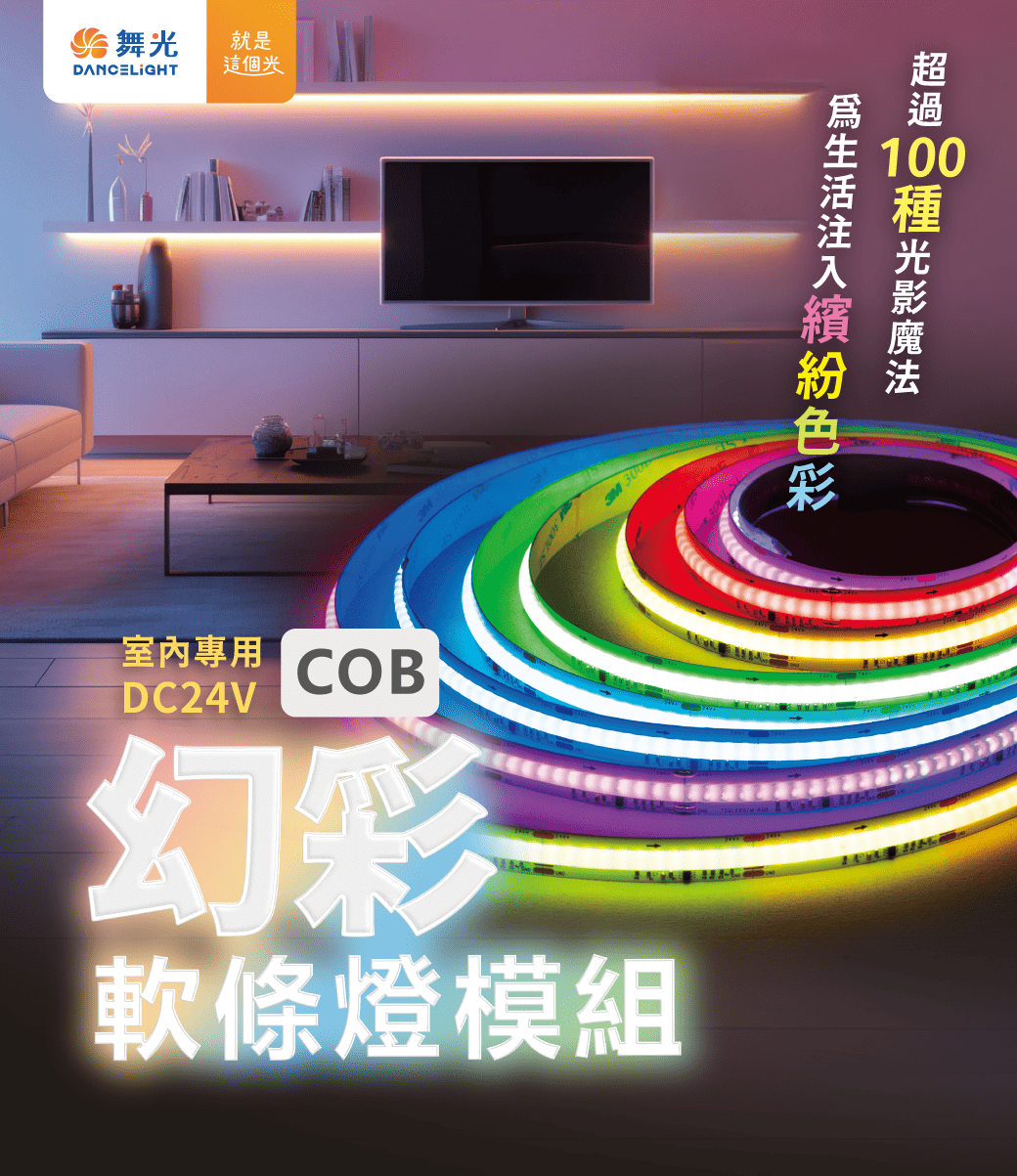 舞光 LED 幻彩COB軟條燈 附控制器、遙控器 DC24V 變化模式超過100種 光影魔法 軟條燈 變壓器另購 4