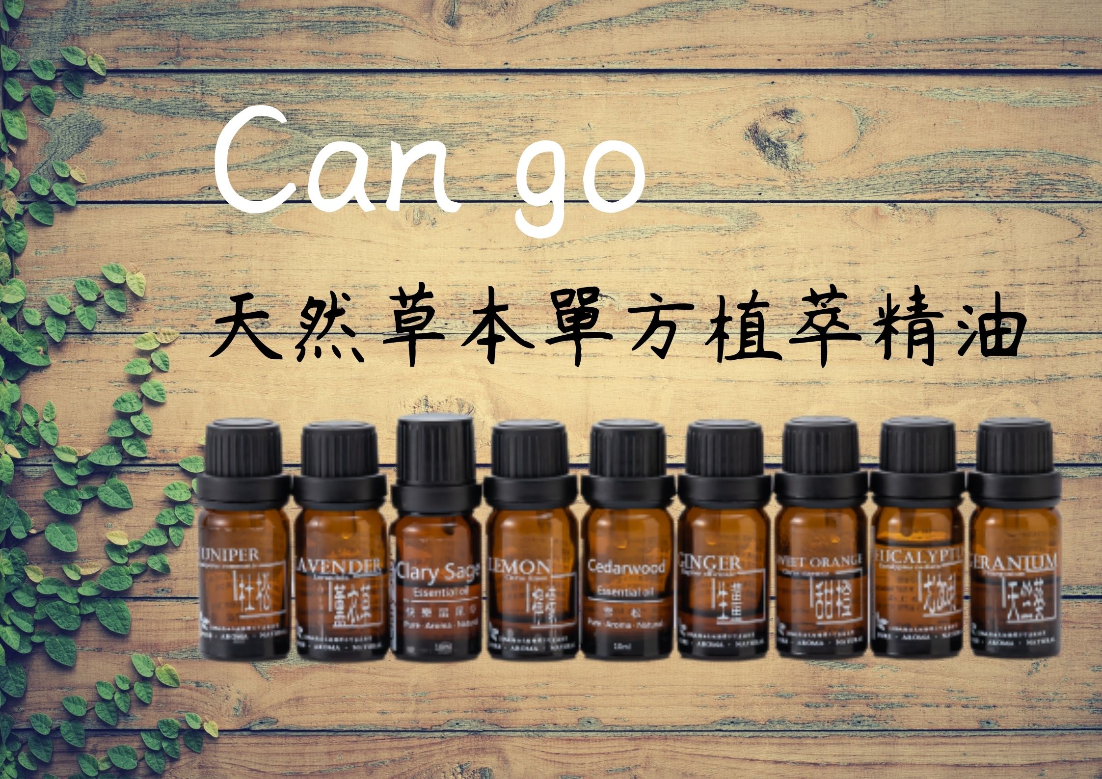 Can go天然草本單方植萃精油 10ml 1