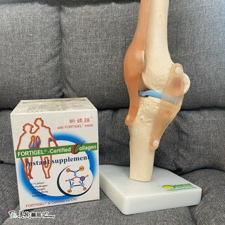 昕嬌顏 水解膠原蛋白 200公克/盒 德國 出清特惠 美術藥局｜官方公司貨