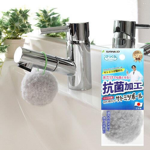 日本製 sanko 廚房清潔刷 清潔球刷 附帶掛鉤 沾水就能使用＊夏日微風＊