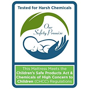 sealy soybean natural dream crib mattress