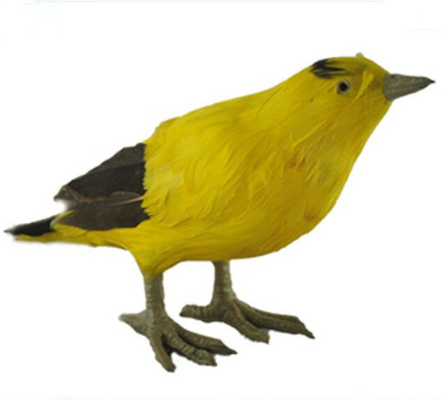 定做各種動物 展翅模擬羽毛鳥 彩色鳥 黃鸝鳥 小鳥 模擬鳥模型