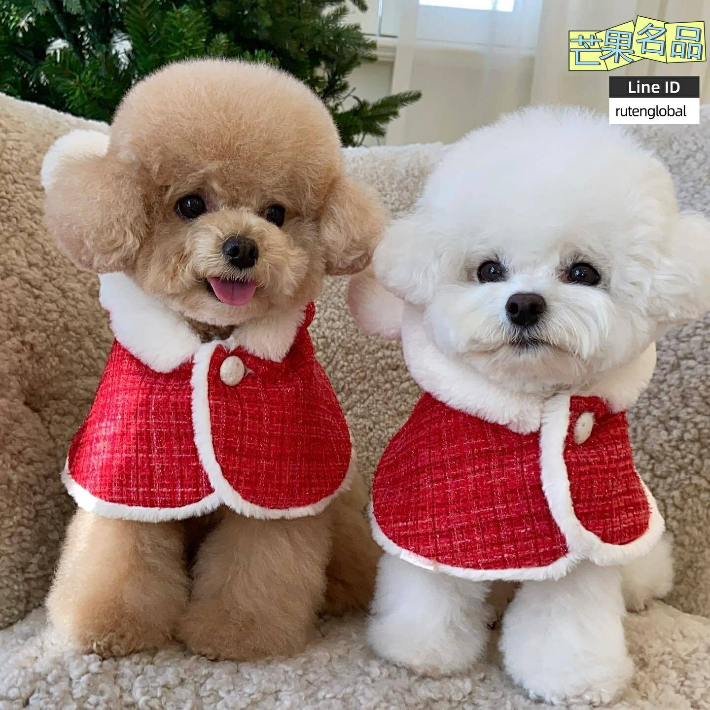 【聖誕新年裝】狗狗斗篷 寵物衣服 狗狗衣服 寵物服飾 寵物斗篷 寵物披風 毛絨連帽圍兜 保暖可愛 INS風 馬爾濟斯 小型犬